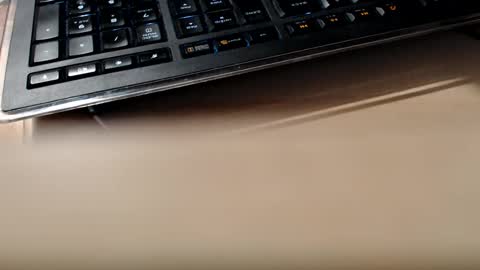 pier49x online show from 13, 2, 2025