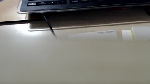 pier49x online show from 27, 9, 2025