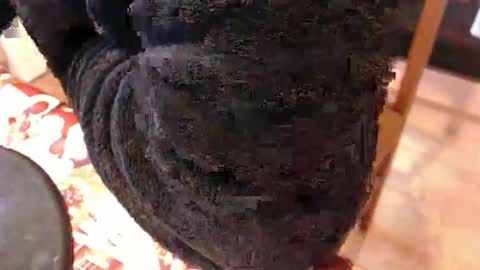 piercedcock069 online show from 17, 1, 2026