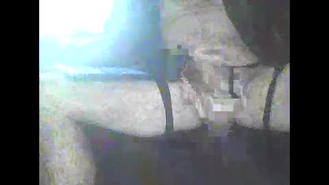 Snapshot of pigbear4trans chatting on 3, 1, 2025 pigbear4trans online show from 3, 1, 2025