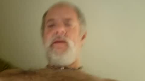 Snapshot of pigbear4trans chatting on 29, 1, 2025 pigbear4trans online show from 29, 1, 2025