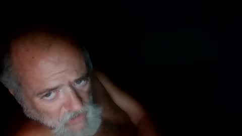 Snapshot of pigbear4trans chatting on 7, 11, 2025 pigbear4trans online show from 7, 11, 2025