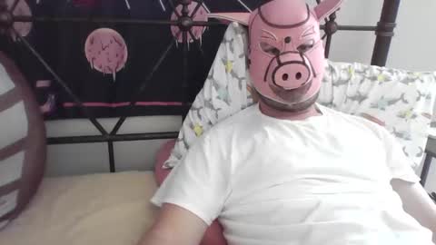 Snapshot of piggyplaypen chatting on 26, 5, 2026 piggyplaypen online show from 26, 5, 2026