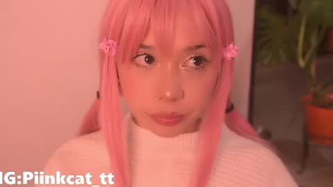 Snapshot of piinkcat chatting on 11, 4, 2026 Emi online show from 11, 4, 2026