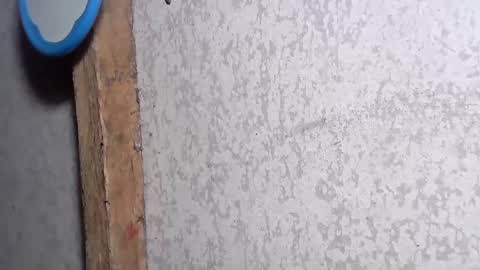 Snapshot of pinay_yummy28 chatting on 2, 12, 2024 pinay_yummy28 online show from 2, 12, 2024