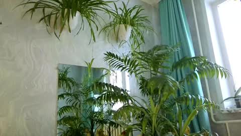 Snapshot of pink_light chatting on 11, 2, 2026 Tatyana online show from 11, 2, 2026