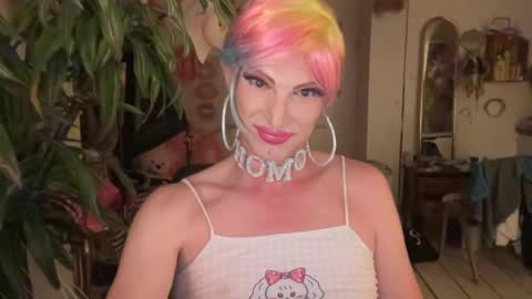 Snapshot of pinkfag chatting on 16, 6, 2026 pinkfag online show from 16, 6, 2026
