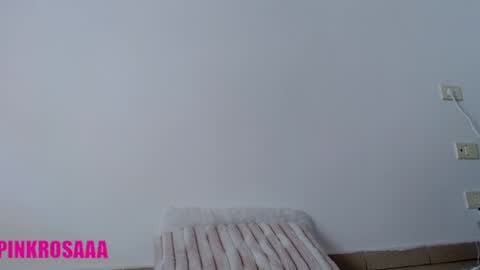 Snapshot of pinkrosaaa chatting on 10, 4, 2026 Rosa Vids Pics 50 off online show from 10, 4, 2026