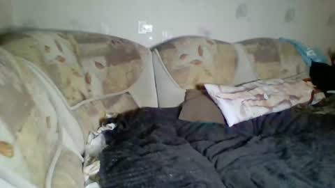 Incubus online show from 3, 1, 2025