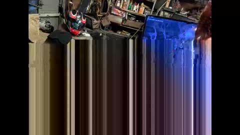 Snapshot of pipefitter485850 chatting on 9, 2, 2026 FuckUpayMe online show from 9, 2, 2026