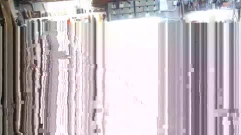 pippetta1 online show from 4, 11, 2025