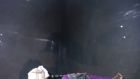 pirata_privado online show from 5, 12, 2025