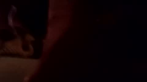 playbunny_koppel online show from 27, 11, 2025