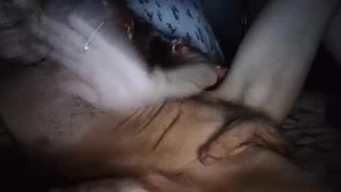 Snapshot of playdaddy756210 chatting on 12, 3, 2026 playdaddy756210 online show from 12, 3, 2026