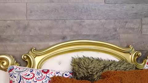 PlayfulSamy online show from 12, 12, 2024