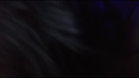 playwithstrayy online show from 23, 12, 2025