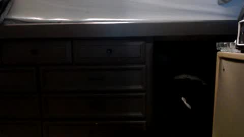 pleasantdinosaurus7537 online show from 17, 11, 2025