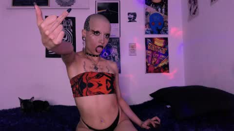    online show from 24, 4, 2026