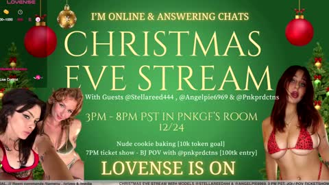 Snapshot of pnkgf chatting on 23, 12, 2024 pnkgf online show from 23, 12, 2024