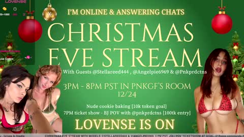 Snapshot of pnkgf chatting on 24, 12, 2024 pnkgf online show from 24, 12, 2024