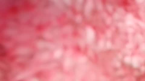 pocahontasdoll95 online show from 14, 5, 2026