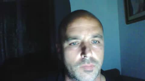 pocoyotop online show from 1, 12, 2024