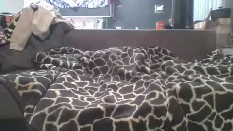 Snapshot of pokerfffface79 chatting on 27, 3, 2026 pokerfffface79 online show from 27, 3, 2026