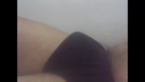 pol2023 online show from 15, 3, 2026