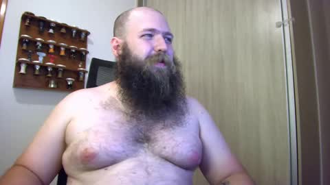 Bear online show from 14, 1, 2025