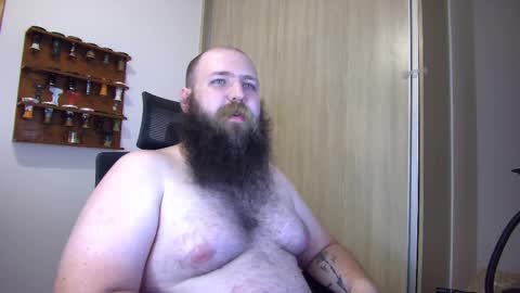 Bear online show from 17, 1, 2025