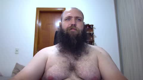 Bear online show from 29, 1, 2025