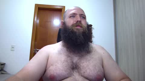 Bear online show from 3, 2, 2025
