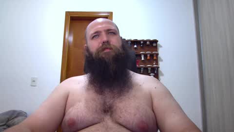 Bear online show from 6, 2, 2025