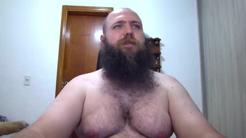 Bear online show from 8, 2, 2025