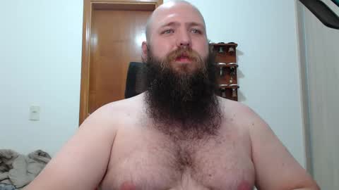 Bear online show from 14, 2, 2025