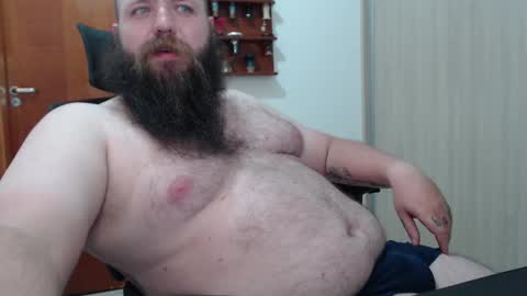 Bear online show from 17, 2, 2025