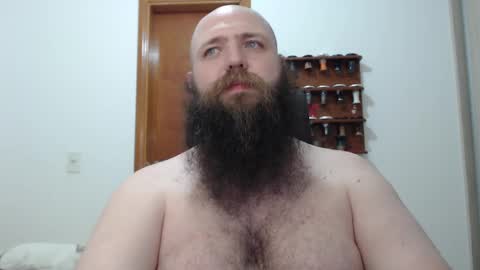 Bear online show from 19, 2, 2025