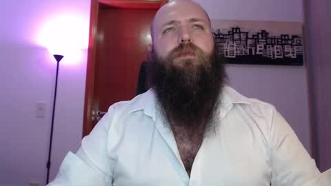 Bear online show from 6, 3, 2025