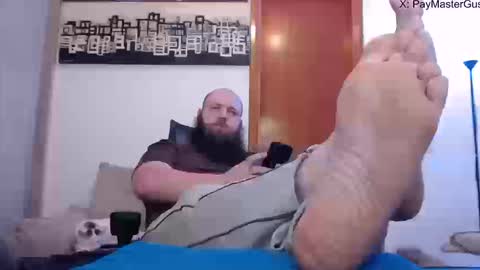 Bear online show from 16, 9, 2025