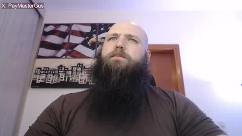 Bear online show from 20, 9, 2025