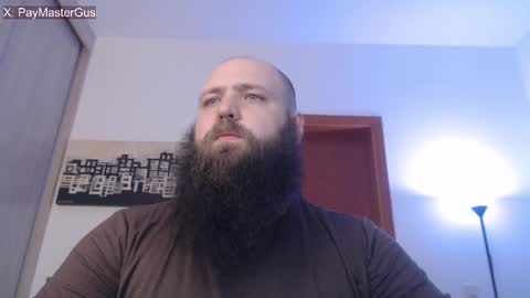 Bear online show from 5, 11, 2025