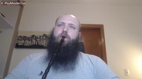 Bear online show from 15, 4, 2026