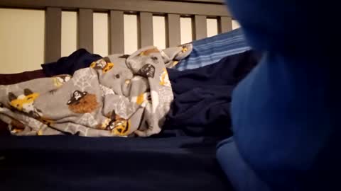 Polebee online show from 23, 1, 2025