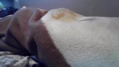 polishbigdick17 online show from 29, 10, 2025