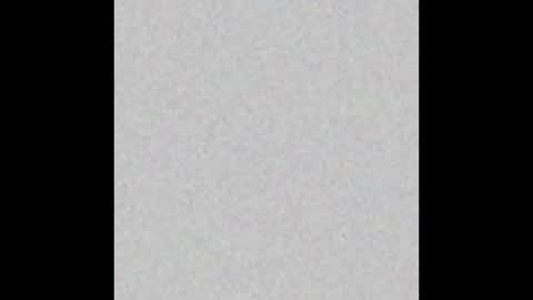 Polly online show from 25, 2, 2026