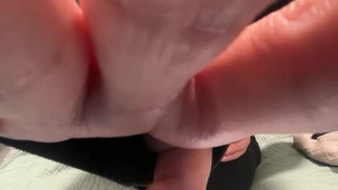 Polly Pocket online show from 10, 11, 2025