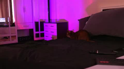 Megan.online  online show from 17, 9, 2025