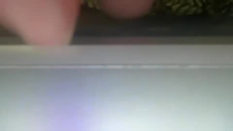 PONCH online show from 30, 12, 2024