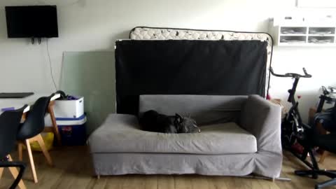 popopo0 online show from 28, 1, 2025