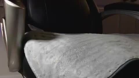 Snapshot of poppyntx chatting on 20, 2, 2026 poppyntx online show from 20, 2, 2026